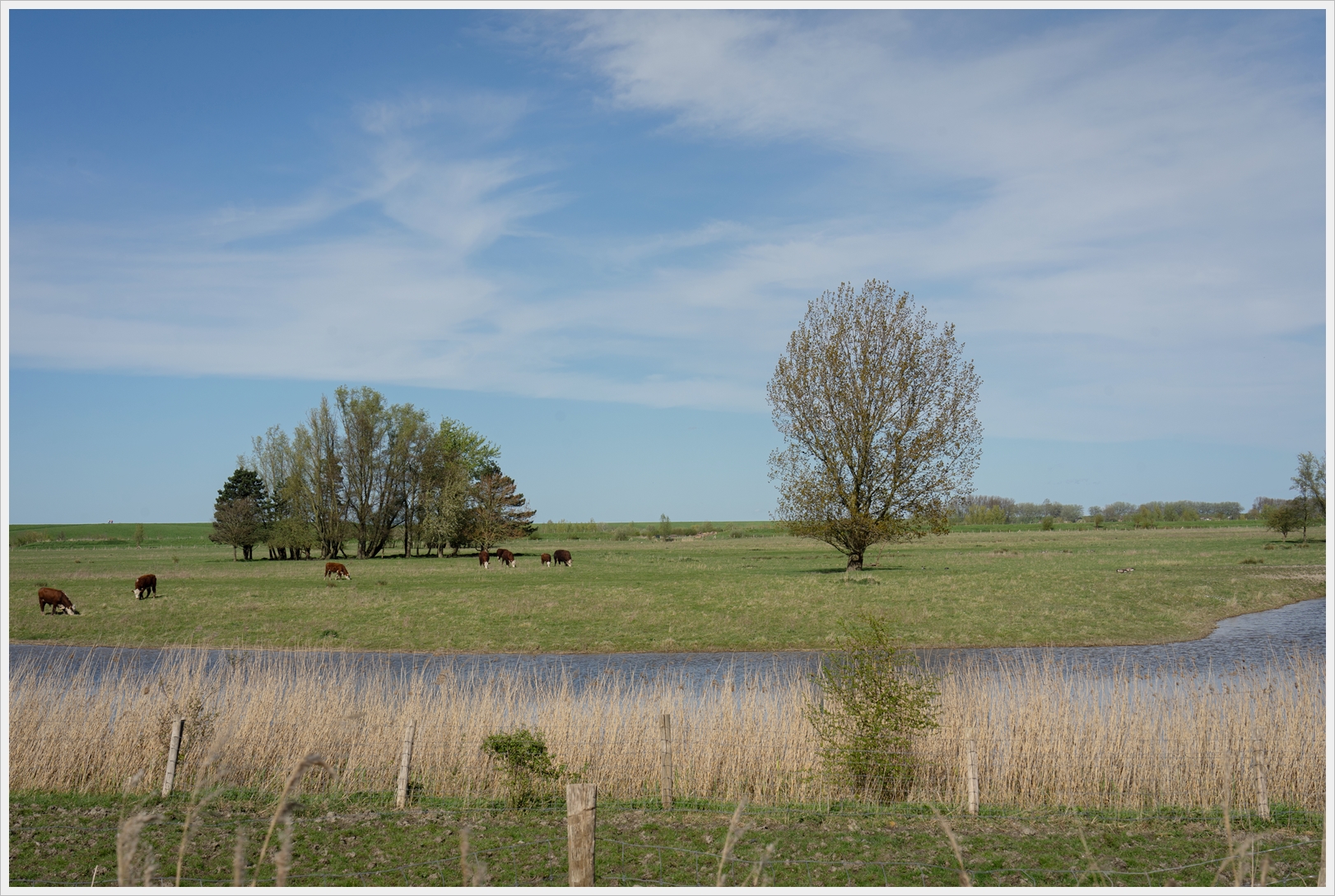 Terneuzen